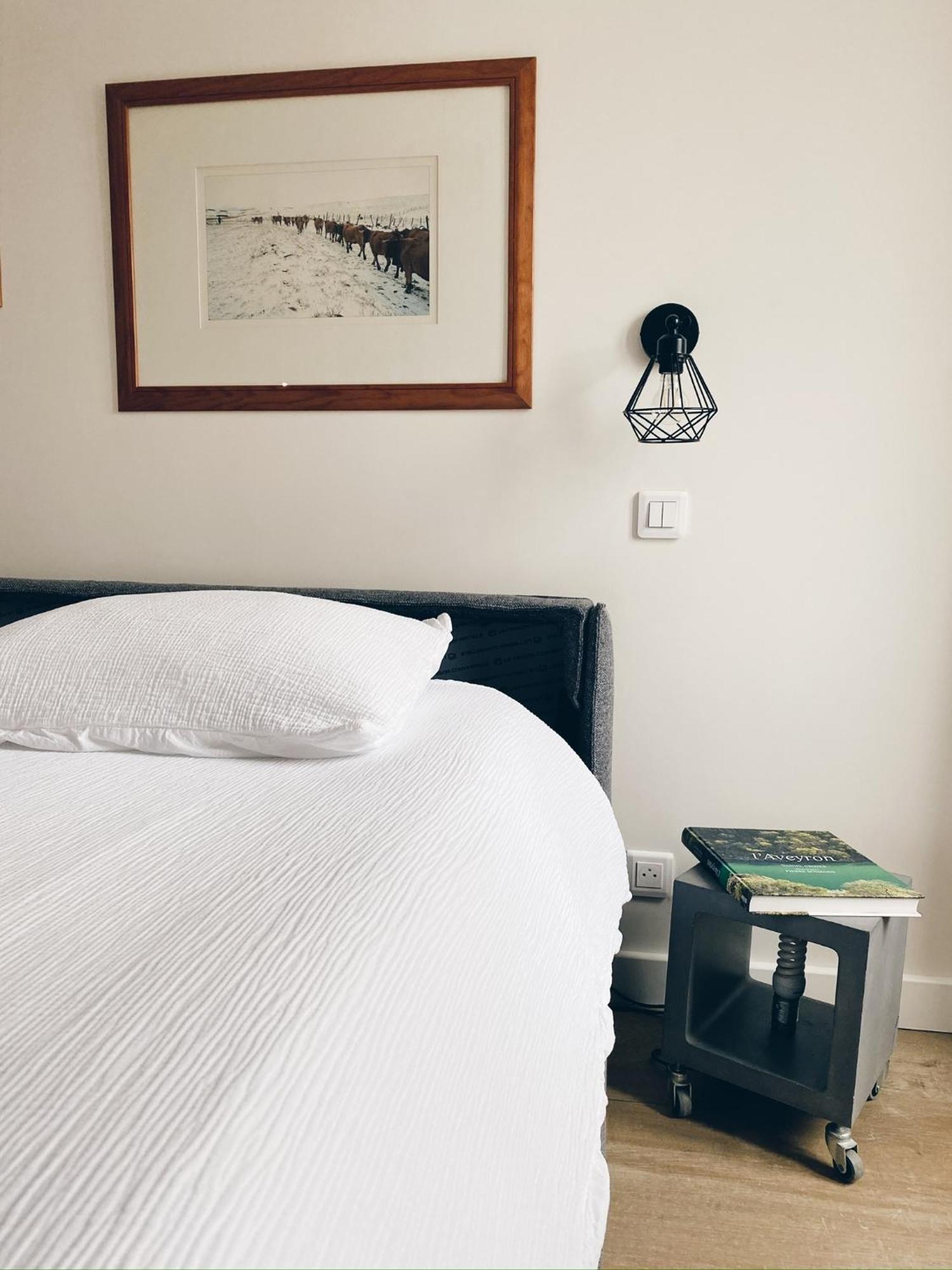 Appartement Le Regis à Laguiole Extérieur photo